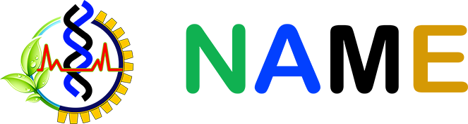 Name Lab