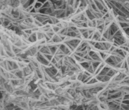 Multiwall carbon nanotube (MWCNT)