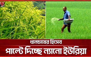 WhatsApp Image 2025-05-01 at 3.10.16 PM (1)